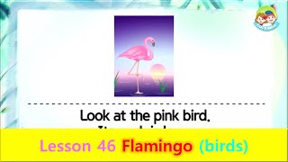 80 Animals | Unit 46 Flamingo | Birds screenshot 5