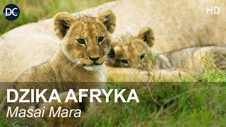 Dzika Afryka  MASAI MARA | Film przyrodniczy | Film dokumentalny | Dzika natura | Dzikie zwierzęta