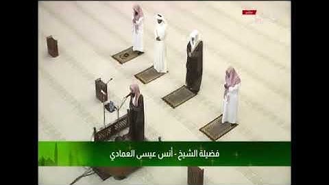 من سورة هود للقارئ أنس العمادي