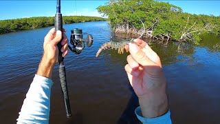 Fishing The Mangroves for Whatever is Biting