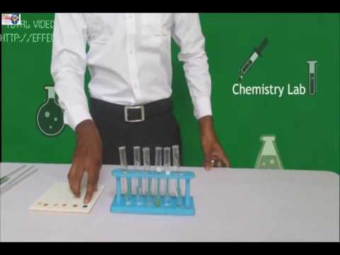 Practical Science class10 - Live Exp1