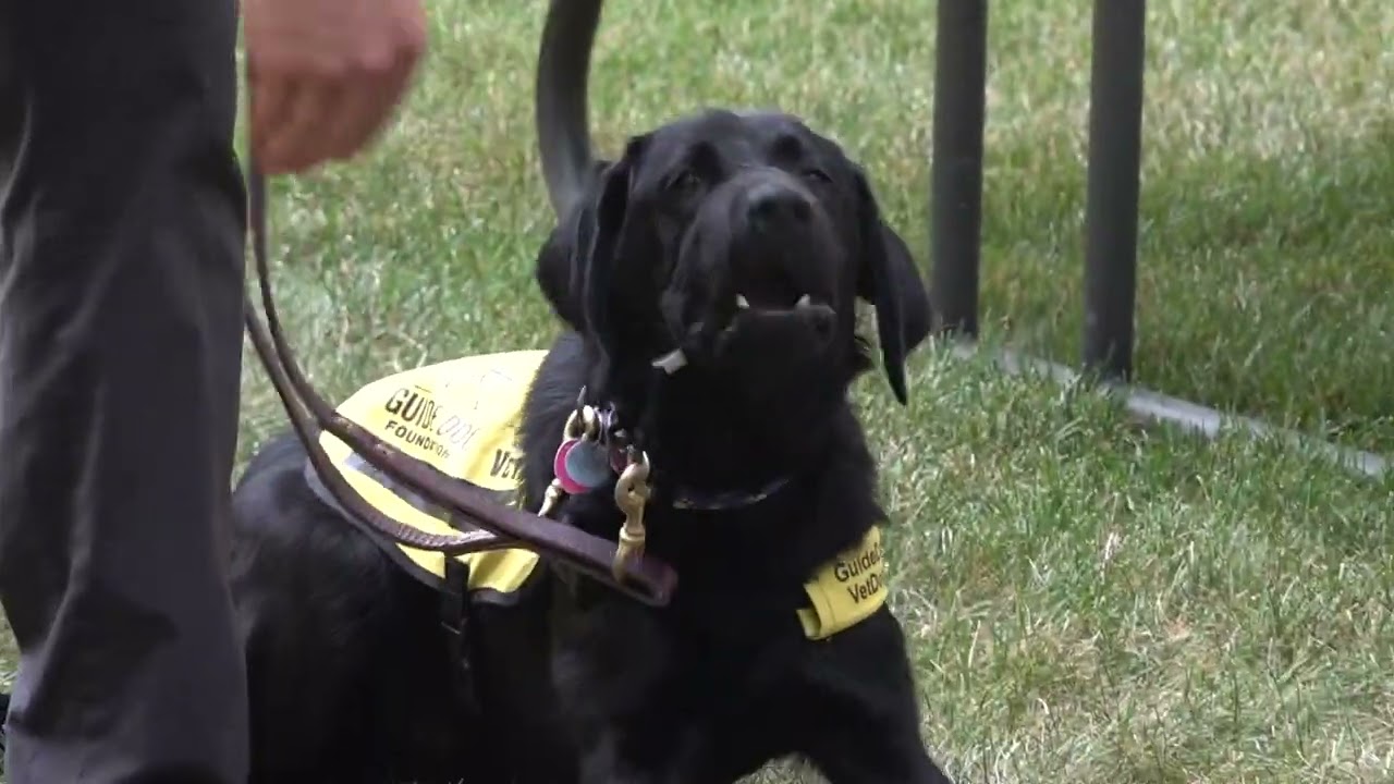 ACG 2025 Awards Community Service Project of the Year Finalist: SPA