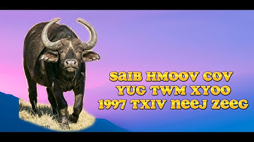SAIB HMOOV cov yug nyuj xyoo 1997 txiv neej zeeg