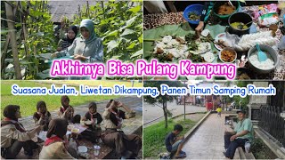 SUASANA SAAT JUALAN || PANEN TIMUN DI SAMPING RUMAH || LIWETAN DIKAMPUNG