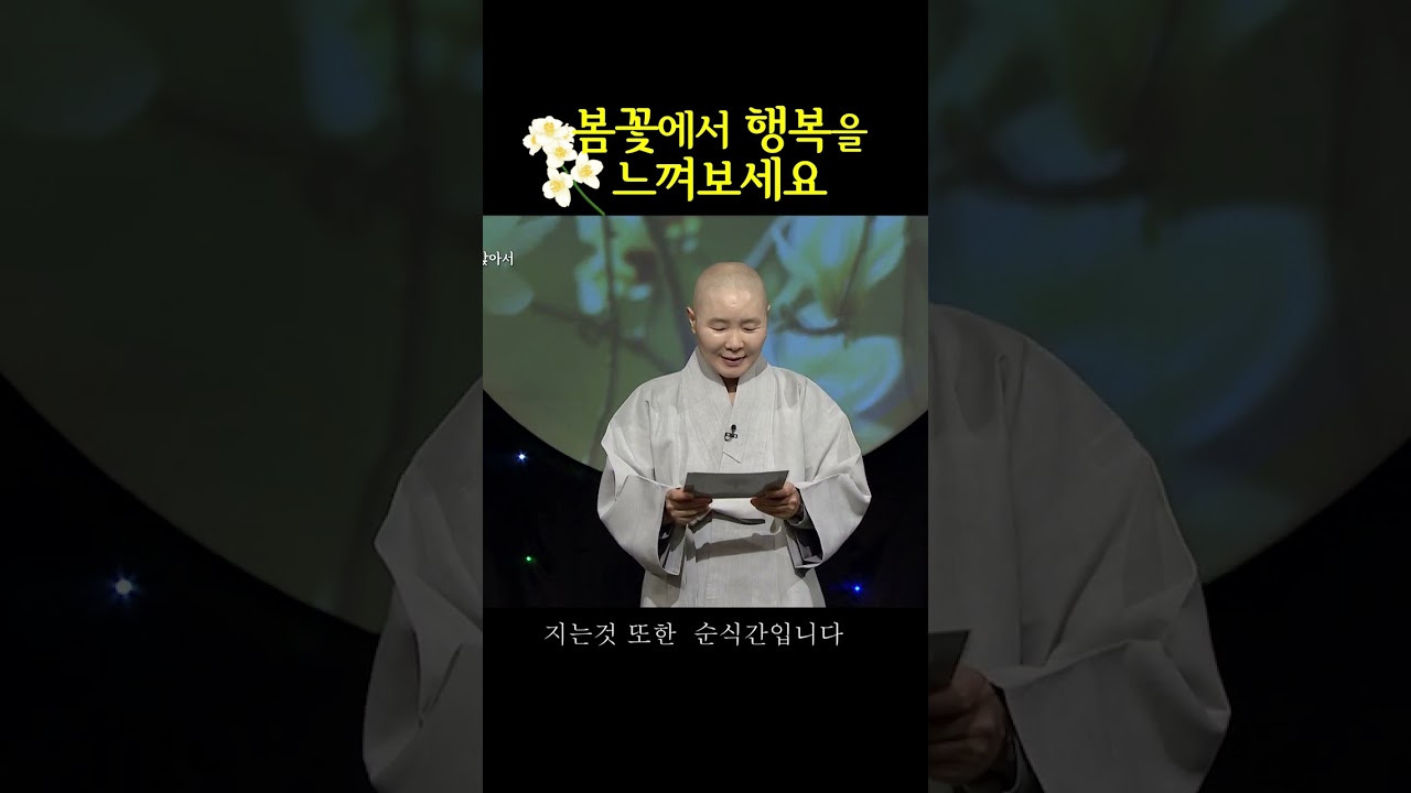 #봄꽃#행복찾기#정목스님#시낭송#SHORTS