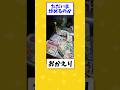 【2ch面白いスレ】安価で決めた食材で晩御飯作る！#shorts