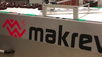 Makrev Automation Solutions