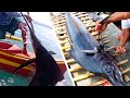 Big Fish Primitive Fishing | Biyaya ko ay Biyaya ng Lahat, Always Share at ikaw ay Pagpapalain