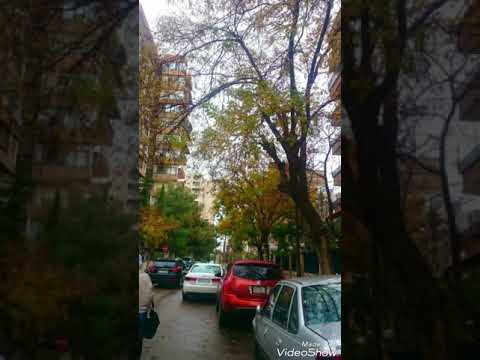 شرح قصيدة الظبي النفور حادي عشر لابن زهر الحفيد