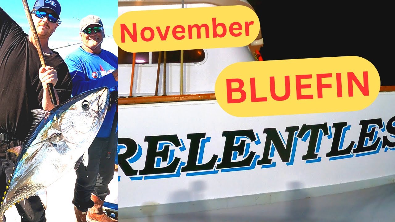Part 2 Relentless Bluefin Tuna Fishing San Diego H & M Landing Mid