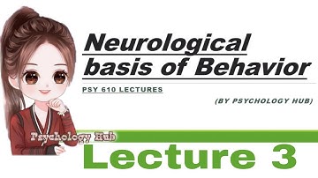 Psy610 lecture 3 // Neurological basis of behavior Lecture 3 // Psychology Hub