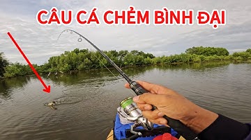 Câu cá chẻm Bình Đại - Bến Tre, chiến trường lấy đi nhiều nước mắt của anh em