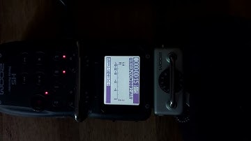 Zoom H5 problem automatic markings