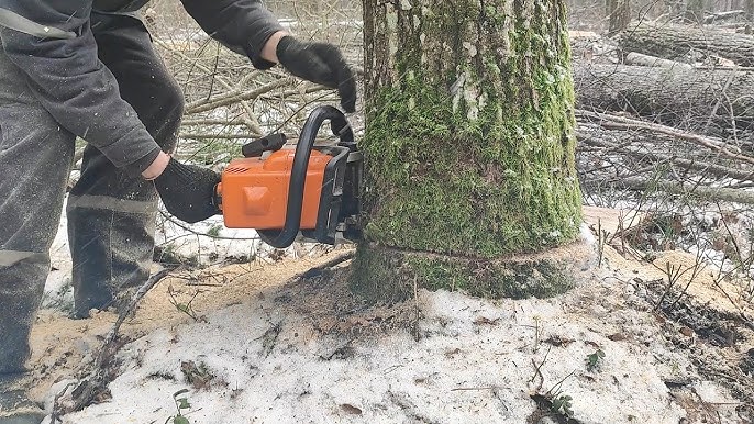 Motosega Stihl MS 170 + omaggio Spedita: Smontata