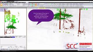 SCC - Manually adding trees from point cloud