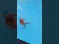 "И скажут -это не Анечка... " 😃😂😁#чудо-девочка