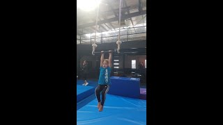 Circus fit Studio Monkey Circus