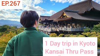 EP.267 รีวิว 1 Day Trip in Kyoto I แนะนำวิธีการเดินทาง Kansai Thru Pass (รถไฟ + บัส + JR)