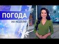 Погода на неделю 4 – 10 января 2021. Прогноз погоды. Беларусь | Метеогид