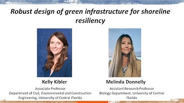 Robust design of green infrastructure for shoreline resiliency