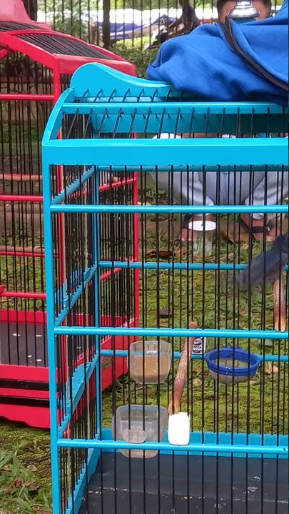 Ngecas bareng komunitas Tledekan