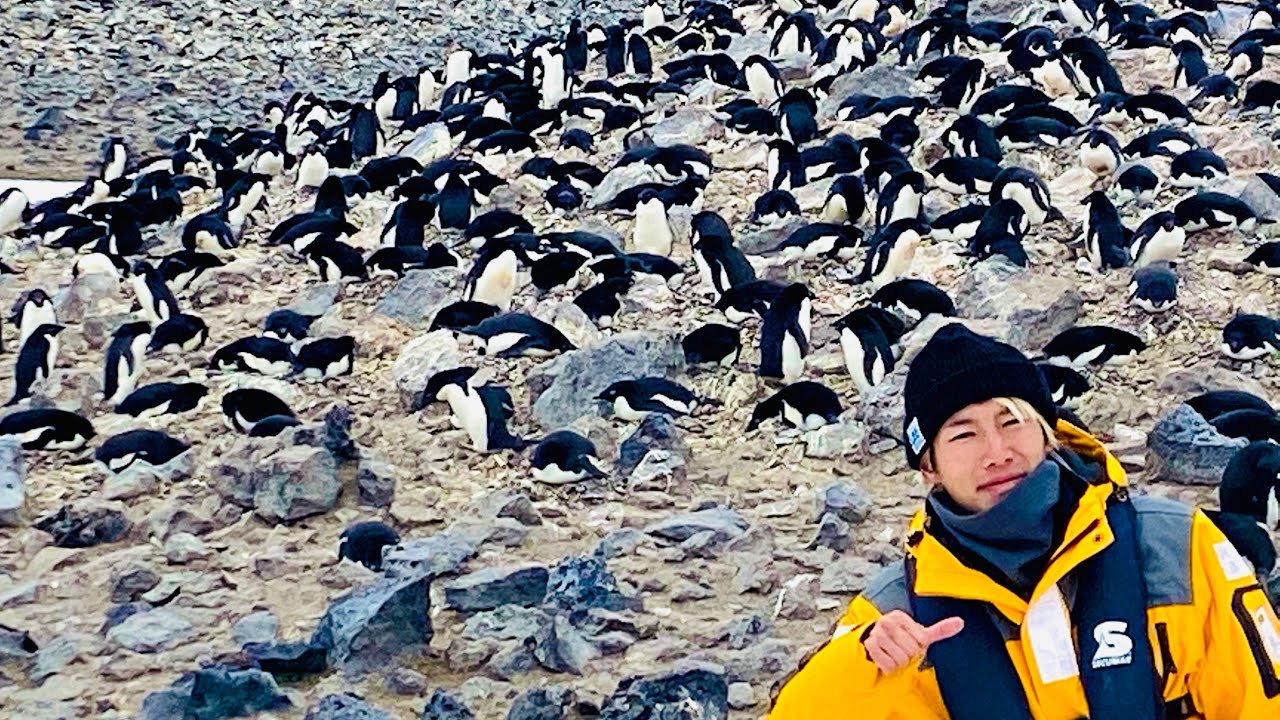 南極編最終章！南極から日本に手紙を出してみた【南極大陸#7】