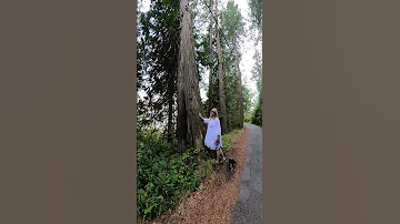She Loves The Trees 