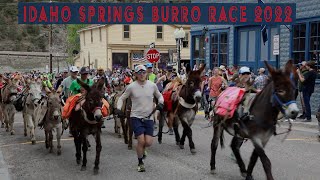 Idaho Springs Burro Race 2022