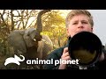 Robert Irwin fotografa elefantes na África | A Família Irwin | Animal Planet Brasil