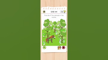 brain test All level 449