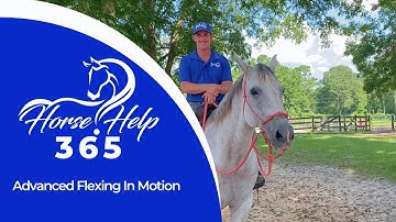 Advanced Flexing In Motion | Horse Help - Michael Gascon