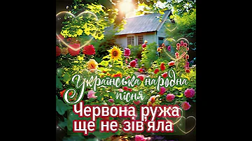 ROZAVIN Червона ружа ще не зів яла Українська народна пісня Official Audio 