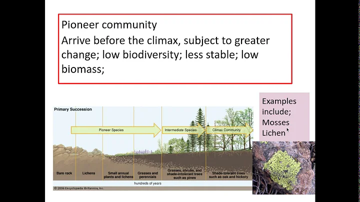 6.3.1. Ecosystems d) Succession