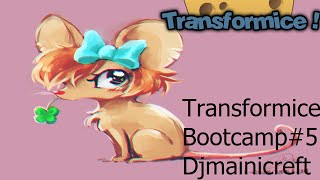 Transformice Bootcamp#5