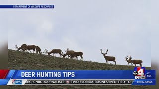 Here’s what Utah hunters need to know ahead of the rifle hunt