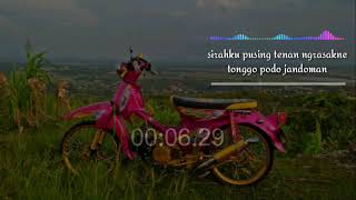 Story WA Keren Bahasa Jawa. [[ COCOTE TONGGO ]]