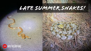 Roadcruising for Rattlesnakes in Georgia! Late Summer Herping for Snakes