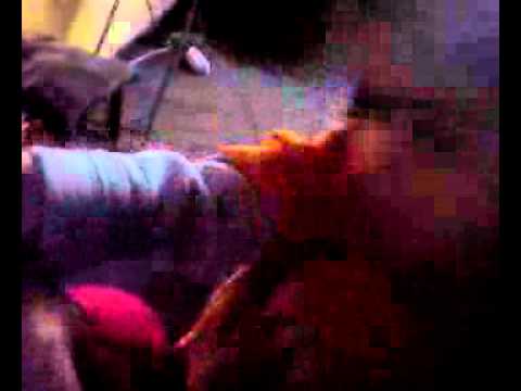 თიკუნას თოჯინა