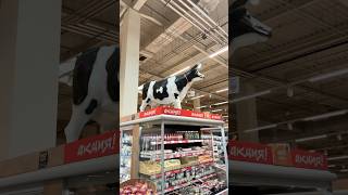 Гипермаркет глобус #гипермаркет #супермаркет 