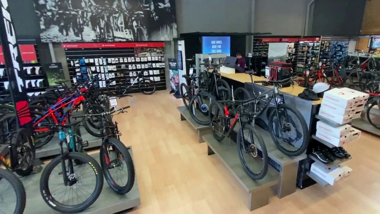 trek store tune up