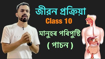 Class 10 science chapter 6 life process assamese medium জীৱন প্ৰক্ৰিয়া , মানুহৰ পৰিপুস্টি Part 3