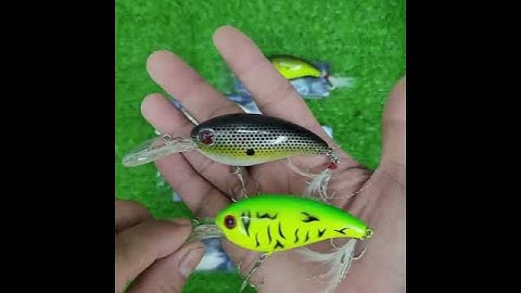 Mồi Giả Cá Cứng Abs Coastline Dùng Câu Lure Cá Lóc, Mú, Chẽm Dài 10cm Nặng 14.5g