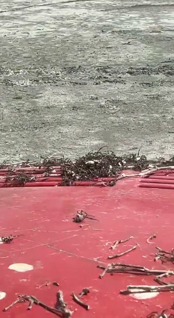 Nightmare Fuel As Spiders Infest Old Tractor || ViralHog