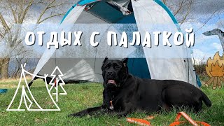 Пробный выезд на природу с собакой и палаткой⛺|Канекорсо нас охраняет|Ищем спокойное место