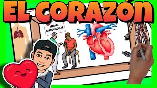 ♥ El CORAZON HUMANO para NIÑOS