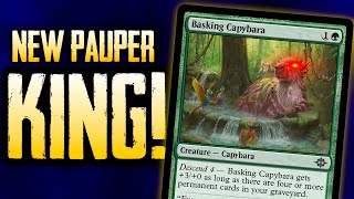 3 NEW MTG Pauper Decks to Try EARLY From Lost Caverns of Ixalan