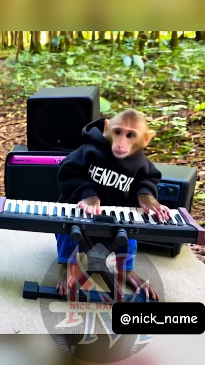 Monyet nyanyi lagu dj remix #monyet #monkey #videolucu #funny #hiburan #monyetjoget