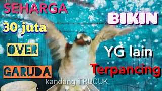 TRUCUK  OVER GARUDA SEHARGA 30 juta .bikin yg lain mudah terpancing emosi
