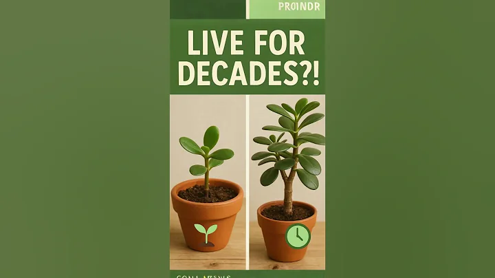Top 5 Indoor Plants That Live for Decades!