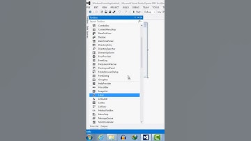 046 - Windows Form C# Label Control